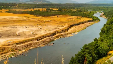Será la quinta hidroeléctrica en el Biobío y taló árboles amenazados: La historia ambiental de Rucalhue