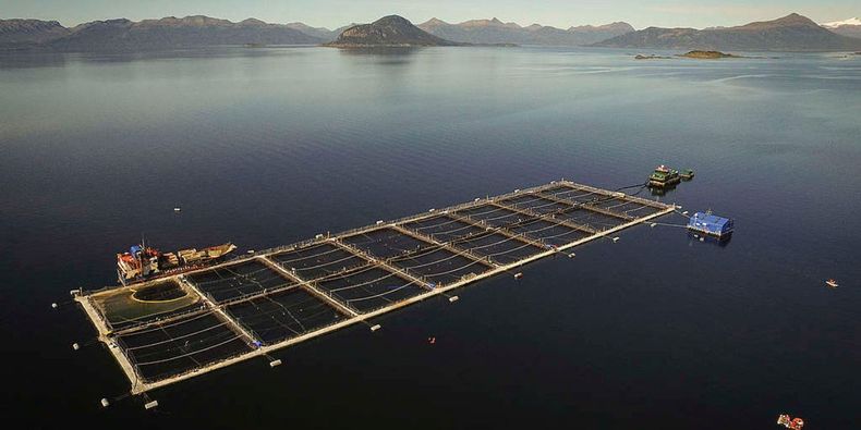 Diseño sin título (42)