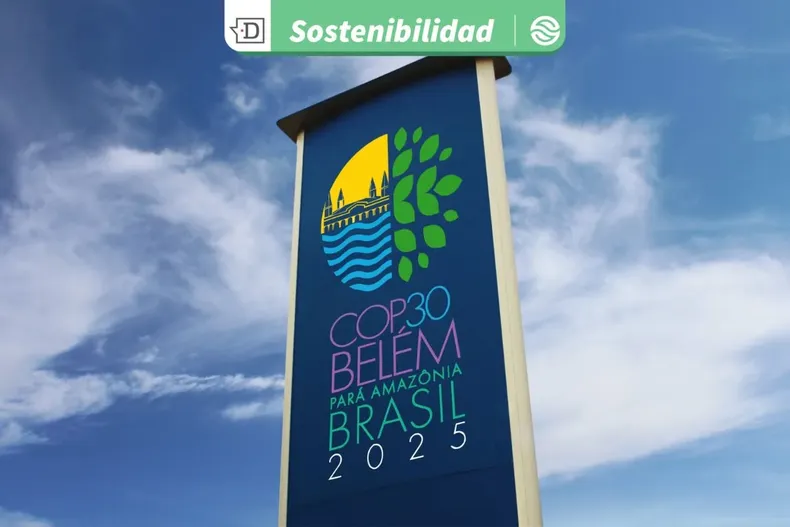 26203 diseno sin titulo 2025 11 21t171037.webp