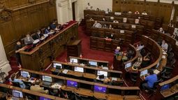 Medio Ambiente: Pleno de la Convención aprueba solo medio artículo de un total de 40