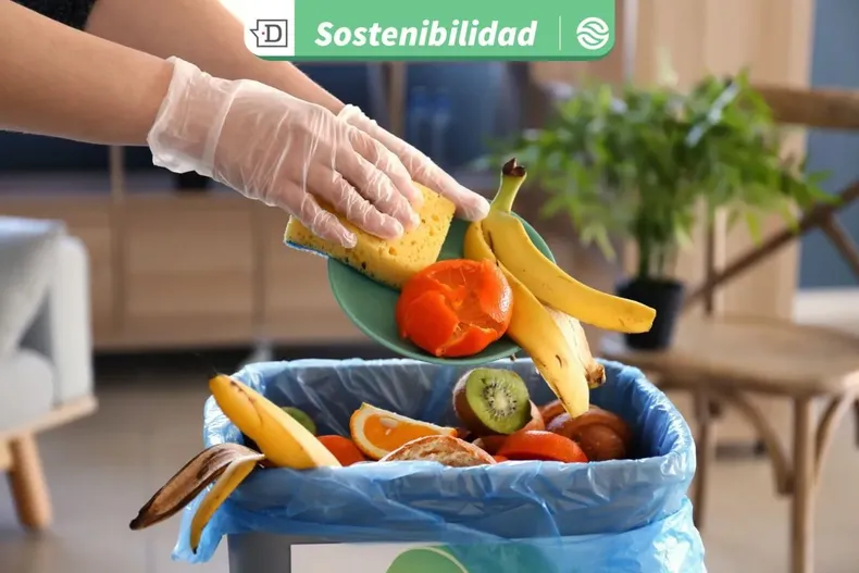 23294 diseno sin titulo 2025 09 29t103741.webp