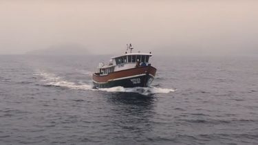 Yaktal: Un viaje al corazón de los mares patagónicos