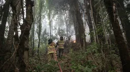 Trágico incendio forestal en Los Sauces: Mueren tres brigadistas de la CMPC producto del fuego
