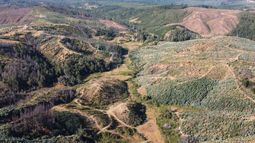 Menos calor y reducción de focos mejoran condiciones de incendios en el sur del país