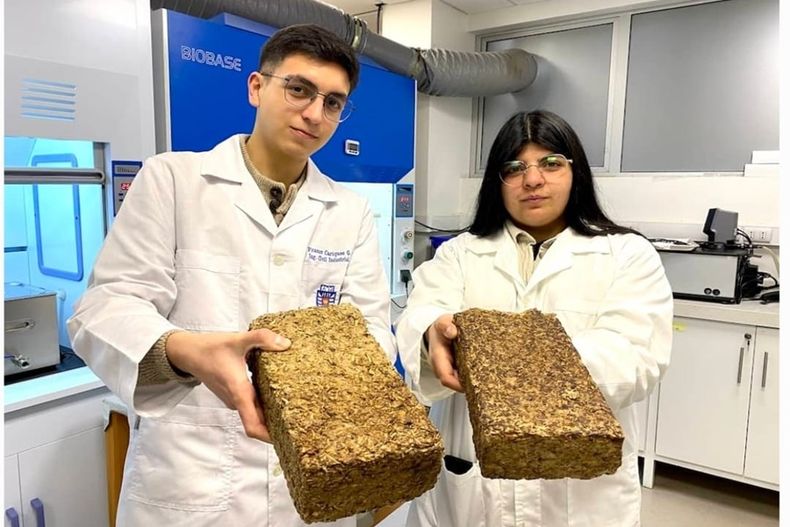 3289 lena ecologica.jpg