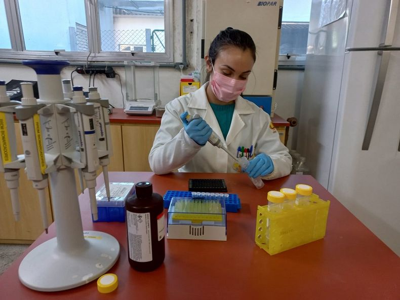 Dra Juliana Fonseca en su laboratorio en Rio Grande del Sur.jpeg