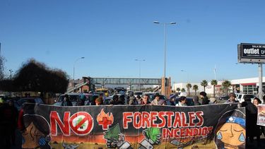 Protestan contra conferencia internacional de biotecnología que promueve los árboles transgénicos y negocio forestal