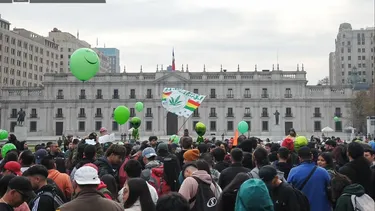 Regular es educar, criminalizar es ignorar