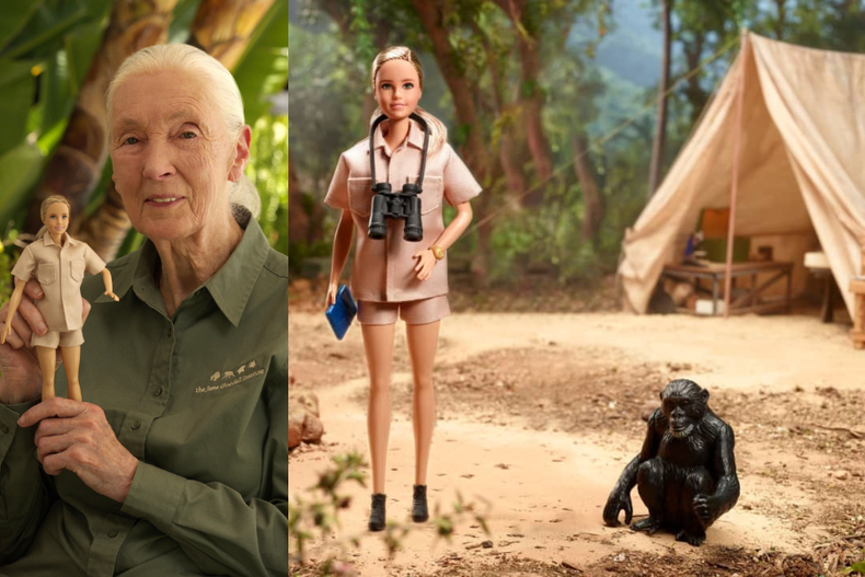 JANE GOODALL KDFJALSN.png