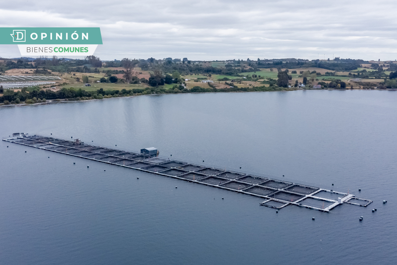 industria salmonera.png