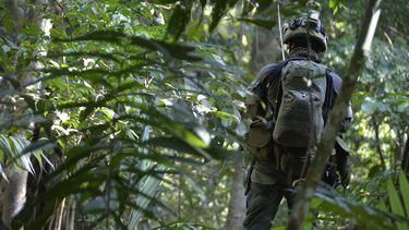 Selva de Darién: Mafias mueven migrantes y reportan 113 ataques sexuales en una semana