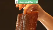 yacaratia: el arbol de madera comestible que brinda seguridad alimentaria al transformarse en dulces y conservas