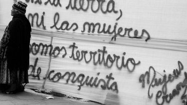 El Desconcierto | ni la tierra ni las mujeres somos territorio de conquista.jpg