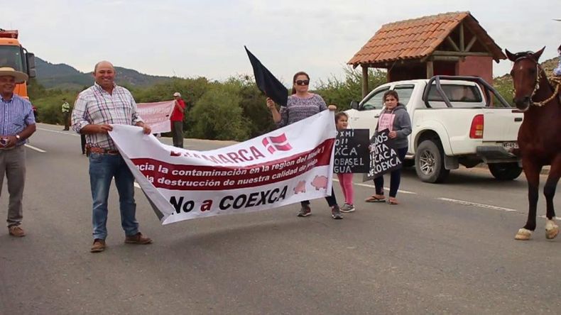 coexa.jpg