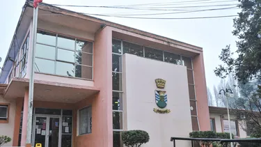 Chocó contra un árbol por gravilla y aceite en calle: Municipio deberá pagarle $8,3 millones por mal estado de la vía