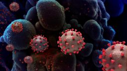 Identifican el primer caso de la variante brasileña de coronavirus en Italia