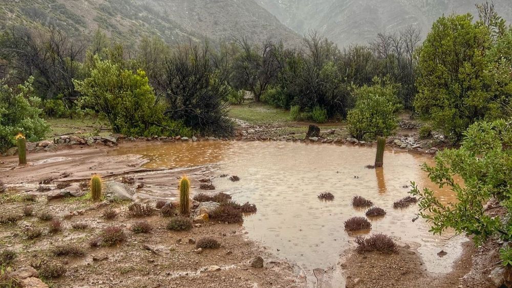 Lluvias y zanjas de infiltración.&nbsp;