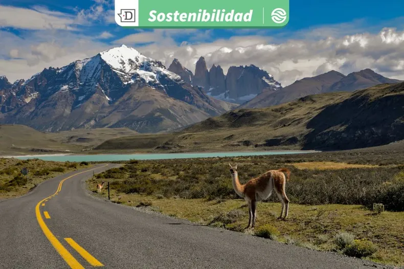 23611 diseno sin titulo 2025 10 03t173050.webp