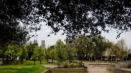 Participa de la jornada de Sanación y Resiliencia en Villa Grimaldi