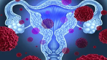 El Desconcierto | 17267 diseno sin titulo 26 1.webp