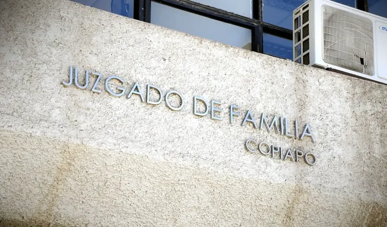 madre logro en juicio viajar a bolivia con su hijo sin autorizacion del padre que no tenia paradero conocido ni relacion regulada.webp