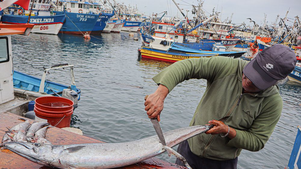Pescadores artesanales piden al Congreso cambiar legislación marítima para proteger a las familias de pescadores desaparecidos