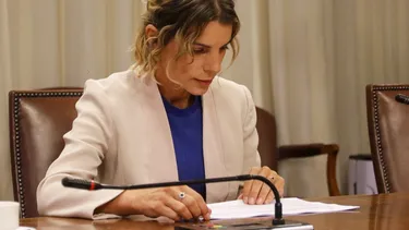 El Desconcierto | 11780 orsini maite.webp