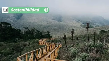 El Desconcierto | 9912 fjjparque.webp