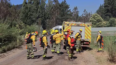 Nuevo detenido por incendios forestales: Ya van 121 apresados por generar fuego de forma intencional