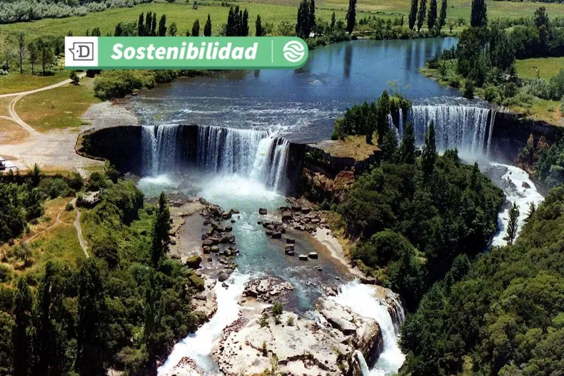 19619 diseno sin titulo 2025 07 24t115127.webp