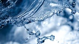 “Biósfera Somos Agua”: Lanzan libro que invita a descubrir la magia y misterio del agua