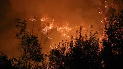 Tragedia por incendios forestales en Chile: Sube a 19 los fallecidos, más de 1.500 damnificados y casi 1.000 viviendas dañadas