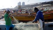 Pesca artesanal alza la voz contra Senado y gobierno por Ley de Pesca - Agencia Uno