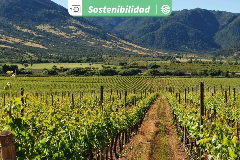 31058 diseno sin titulo 2026 03 11t130324.webp