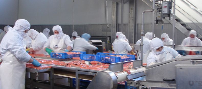 salmoneras.jpg