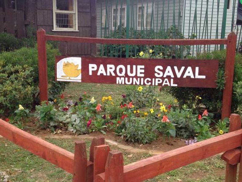 saval.jpg