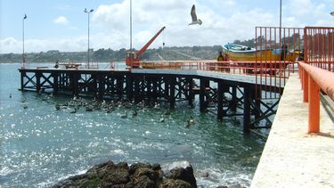 A la playa con audífonos: Municipalidad de El Quisco prohíbe el uso de parlantes en espacios públicos