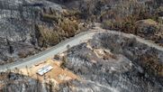 Incendios forestales en la región de Biobío.&nbsp;