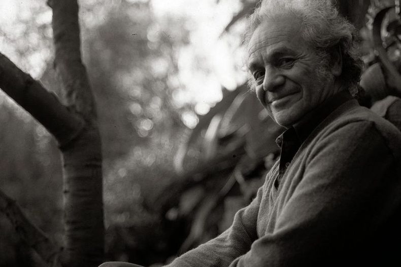 nicanor parra 2 900x600 1.jpg