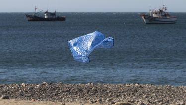 Ecologistas critican largo estancamiento de proyecto que elimina las bolsas plásticas en todo el país