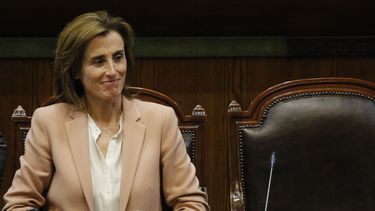 Cubillos se cuadra con Pepe Auth: En qué pie queda el derecho a defensa