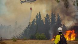 Gobierno se querella contra Marcelo Piccardo, empresario que negó agua de piscina para incendios