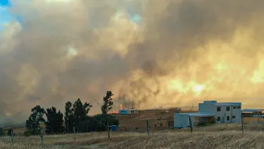 Toque de queda por Estado de Emergencia: Revisa las 11 comunas de la Región de La Araucanía afectadas