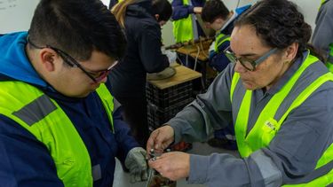 VerdeSur gestiona residuos y trabaja con escuelas, comunidades y empresas para fomentar el reciclaje y la economía circular en la Región de Los Lagos.