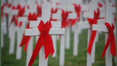 El Desconcierto | sida2.jpg