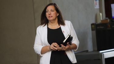 El Desconcierto | Senadora Paulina Vodanovic .jpg
