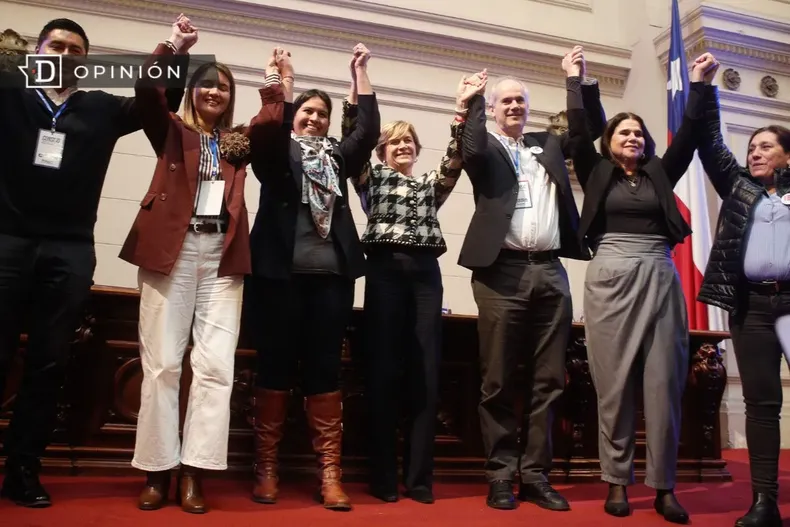 20278 matthei en consejo de renovacion nacional.webp