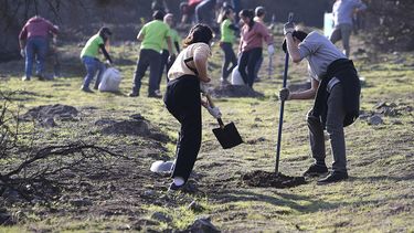 Estudiantes plantaron más de 1000 árboles para reforestar Laguna Carén