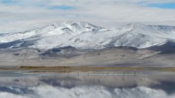 Salar de Huasco se convierte en Parque Nacional: de los pocos salares bajo protección