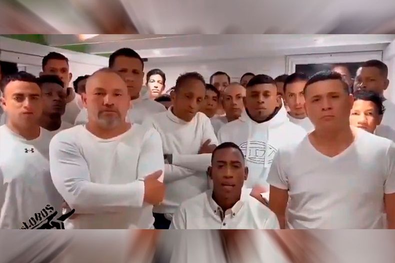 Los Lobos 1.jpg